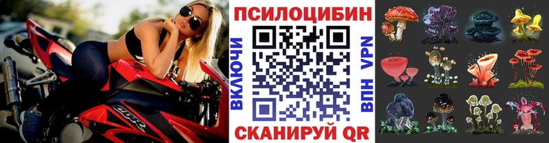 Галлюциногенные грибы MAGIC MUSHROOMS  наркотики  Пойковский 